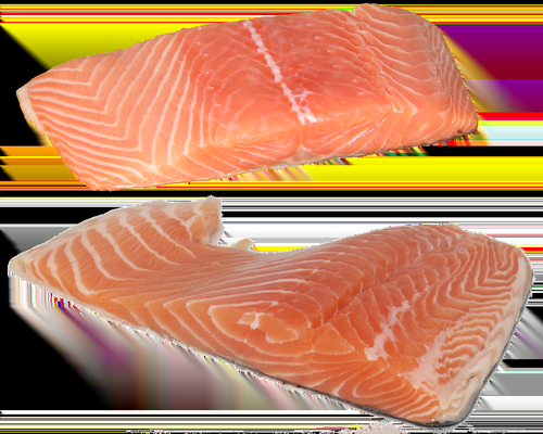 fresh salmon fish rich in omega 3