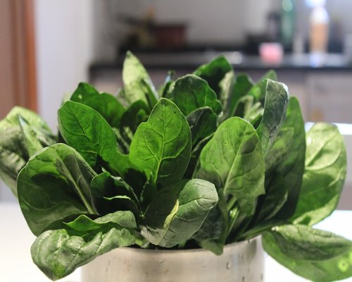 fresh green leafy vegetables spinach
